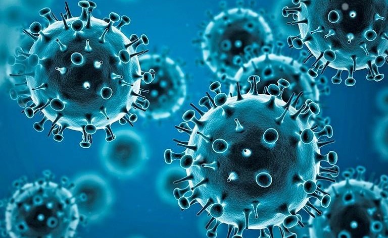CORONAVIRUS - Levée des mesures préventives et restrictives : Le Gouvernement pour la relance des activités économiques, culturelles et sociales
